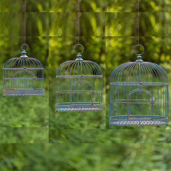 ZaerLtdInternational Bird Cage Plant Stand Set Wayfair